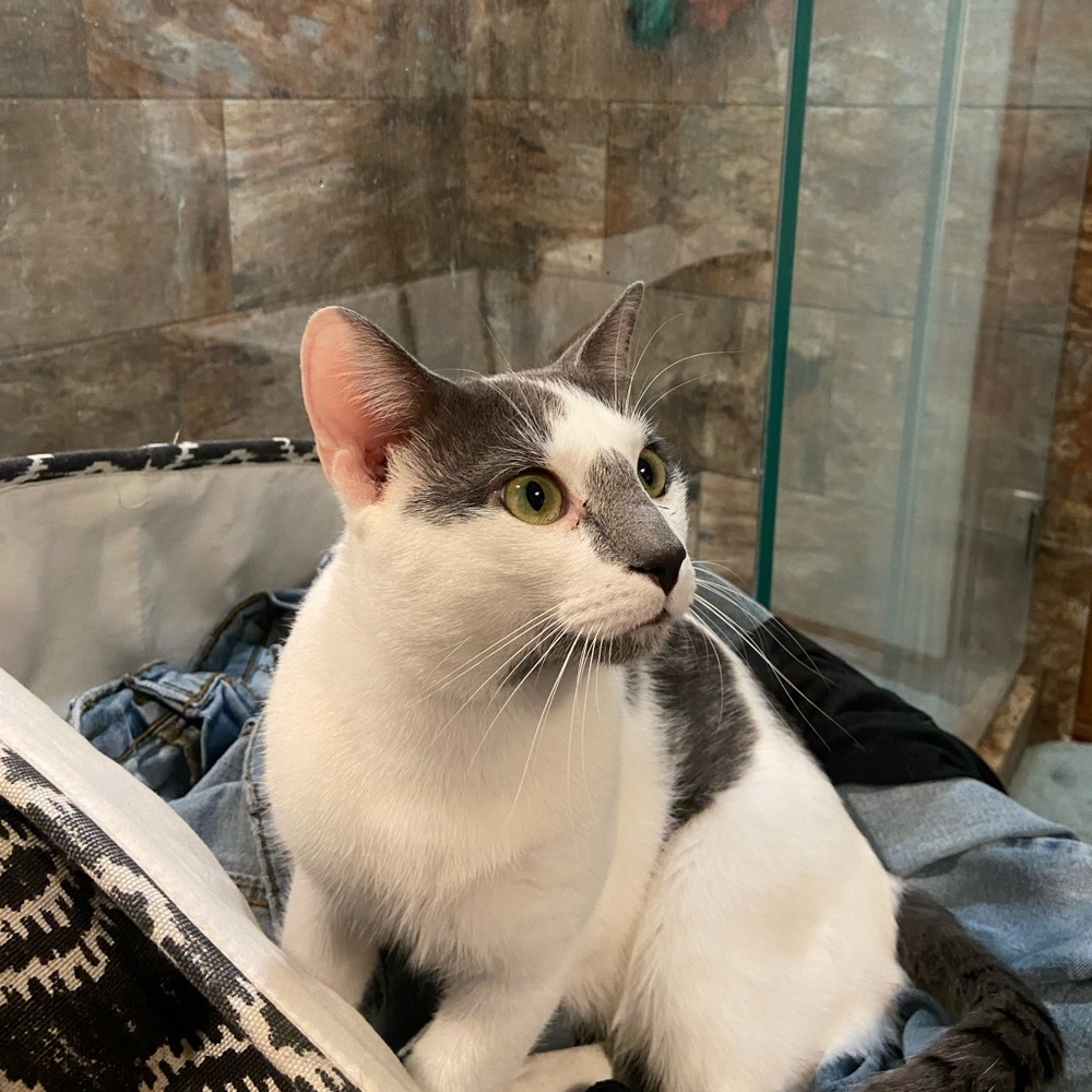 Meet your Posher, Leighann